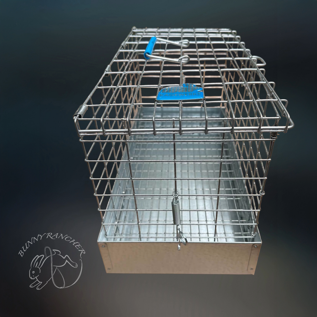 KW Cages 16" x 8" x 10" Single Compartment Wire Transport Cage