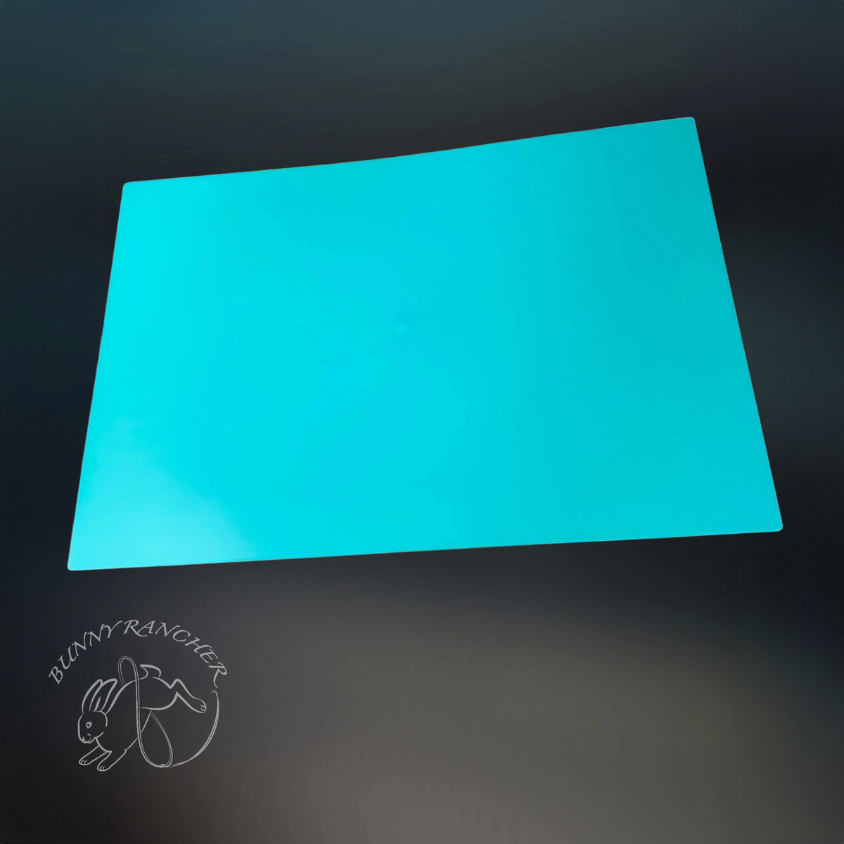 Plastic Cage Divider | 16" x 24"  Partition