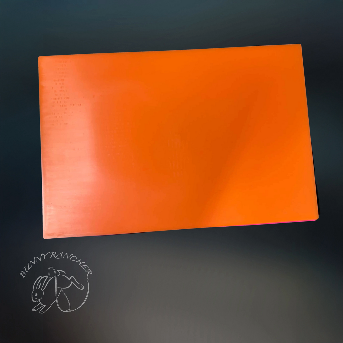 Plastic Cage Divider | 16" x 24"  Partition